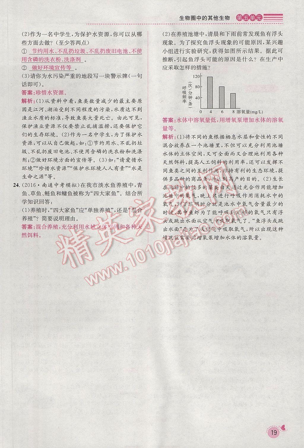 2017年思路教練同步課時作業(yè)八年級生物上冊人教版 第五單元第42頁