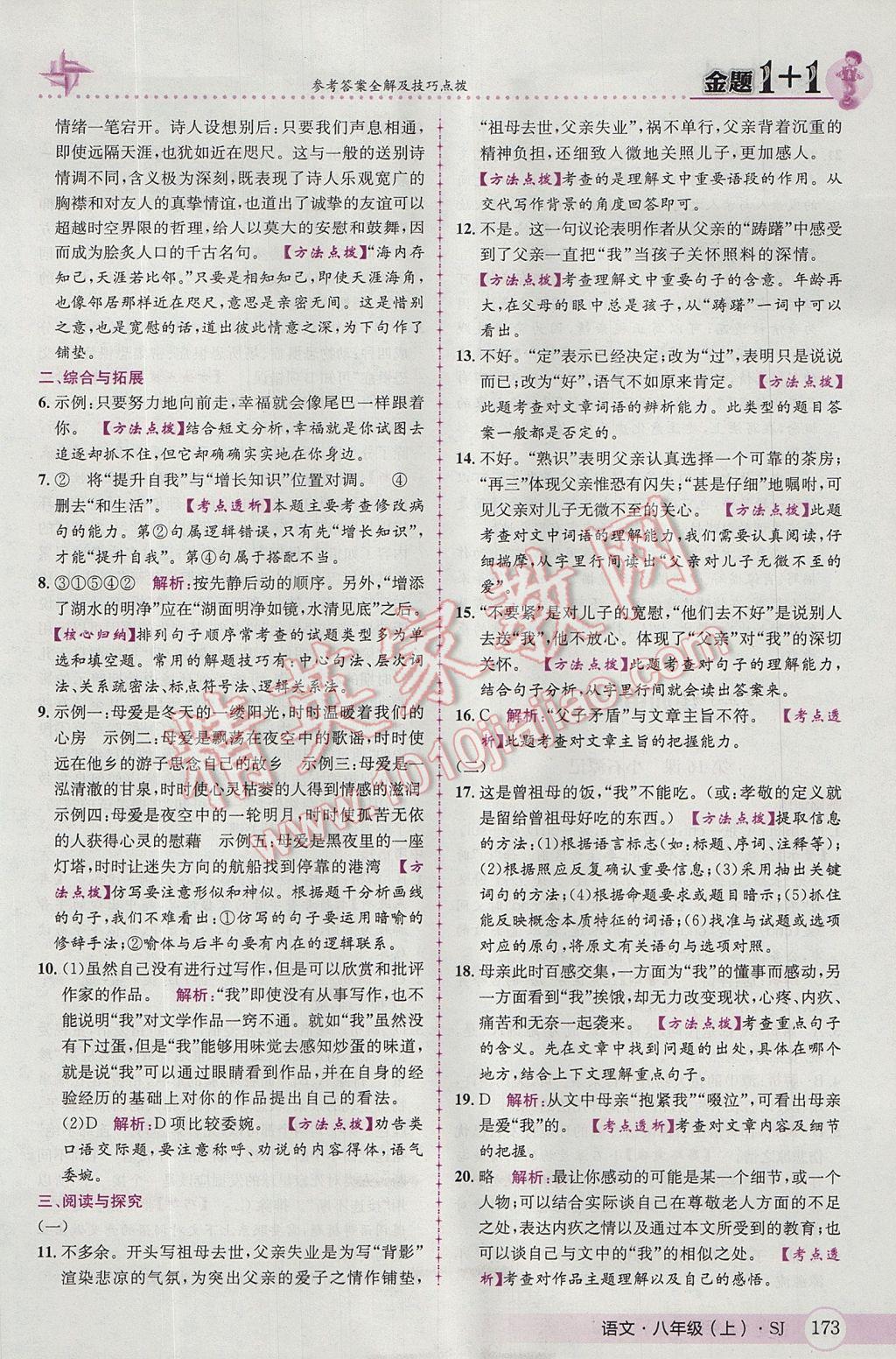 2017年金題1加1八年級(jí)語(yǔ)文上冊(cè)蘇教版 參考答案第25頁(yè)