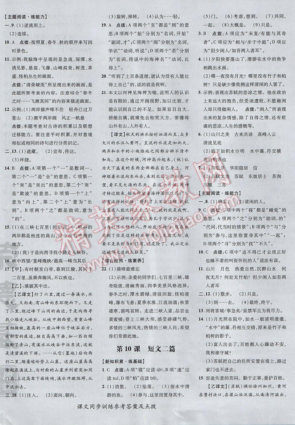 2017年點(diǎn)撥訓(xùn)練八年級語文上冊人教版 參考答案第12頁