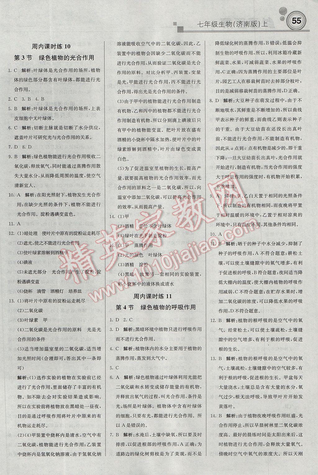 2017年輕巧奪冠周測(cè)月考直通中考七年級(jí)生物上冊(cè)濟(jì)南版 參考答案第7頁(yè)