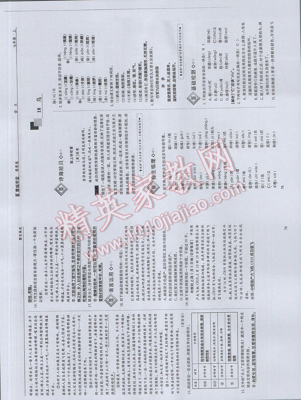 2017年蓉城学堂课课练七年级语文上册 参考答案第38页