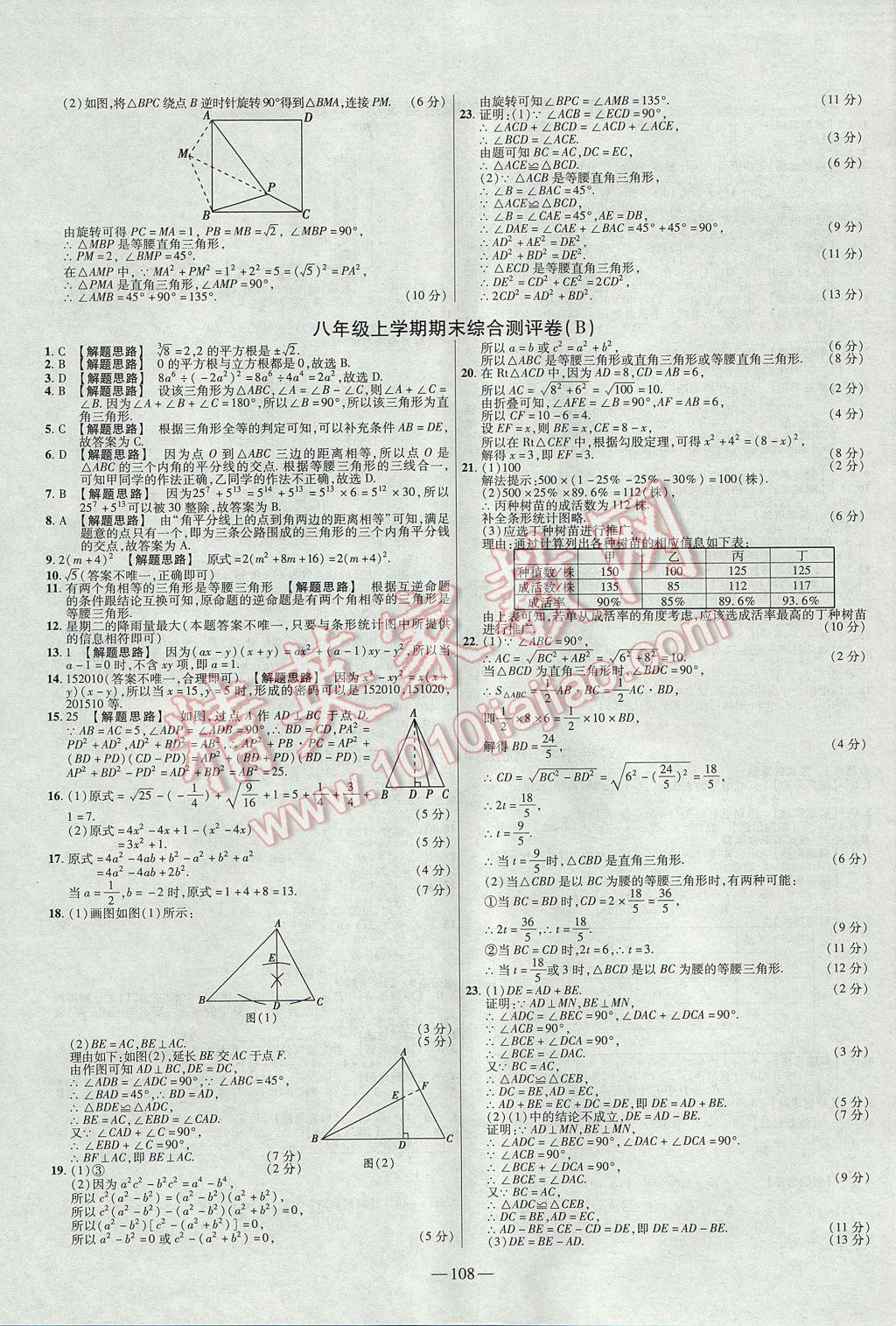 2017年金考卷活页题选八年级数学上册华师大版 参考答案第12页