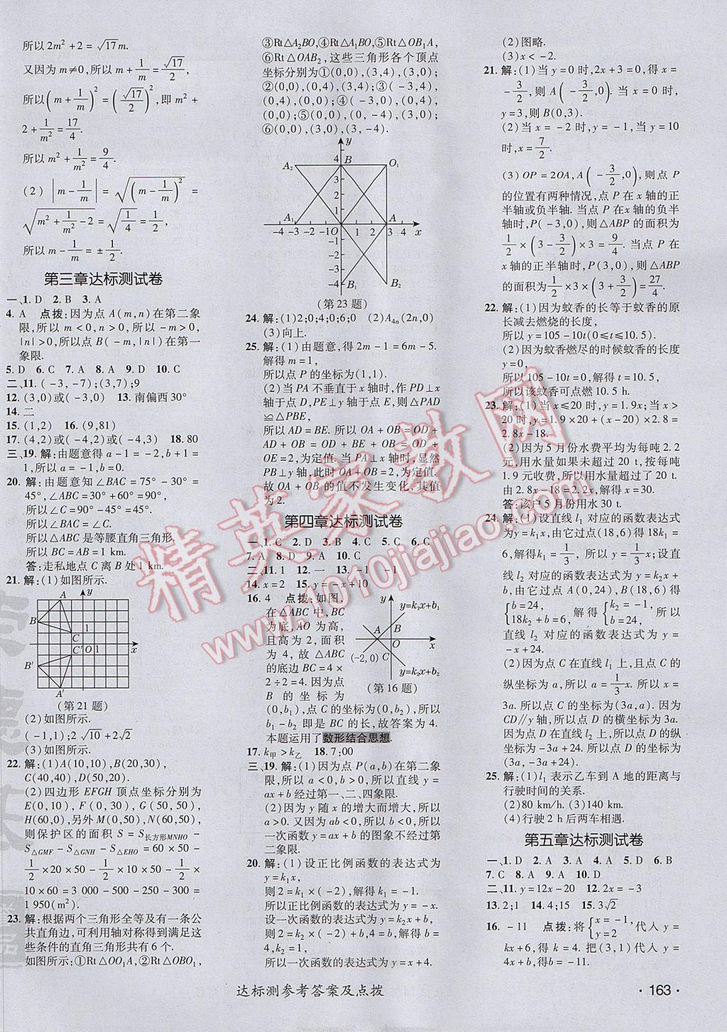 2017年点拨训练八年级数学上册北师大版 参考答案第2页