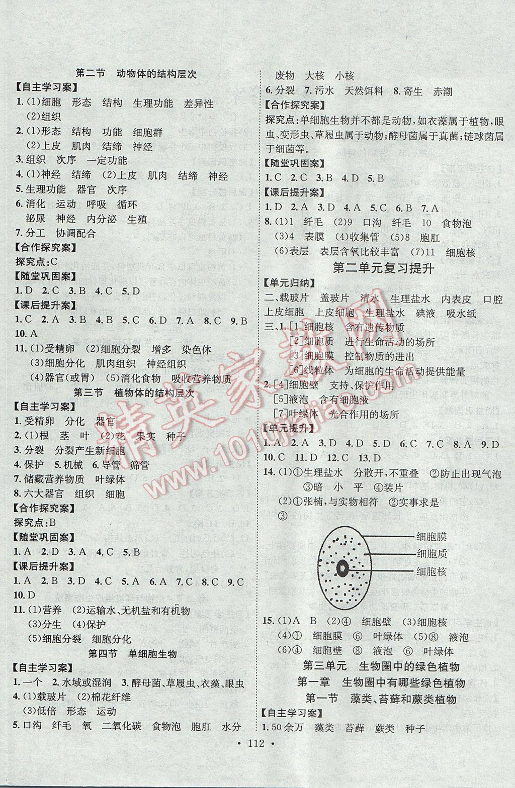 2017年课堂导练1加5七年级生物上册人教版 参考答案第4页