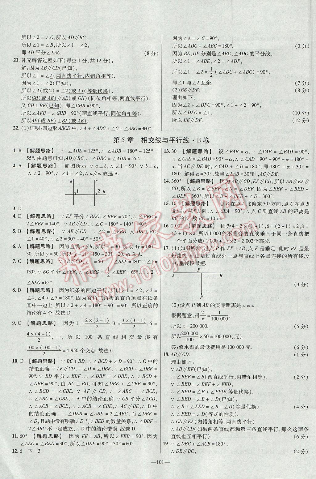 2017年金考卷活頁題選七年級數(shù)學(xué)上冊華師大版 參考答案第11頁