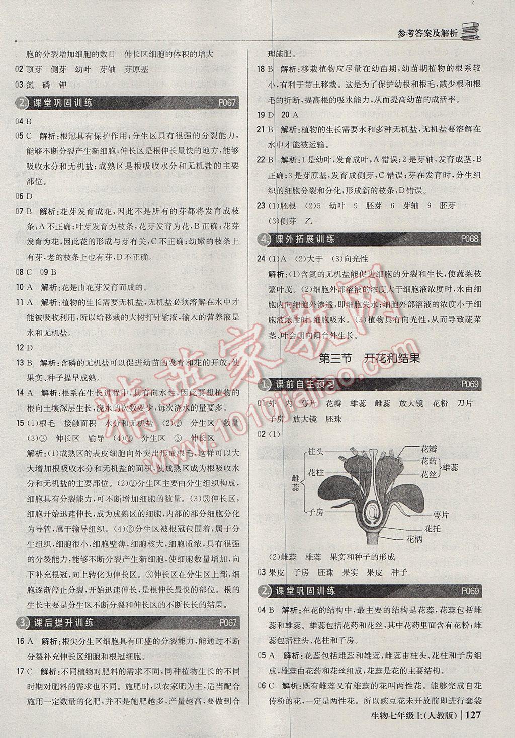 2017年1加1轻巧夺冠优化训练七年级生物上册人教版银版 参考答案第24页