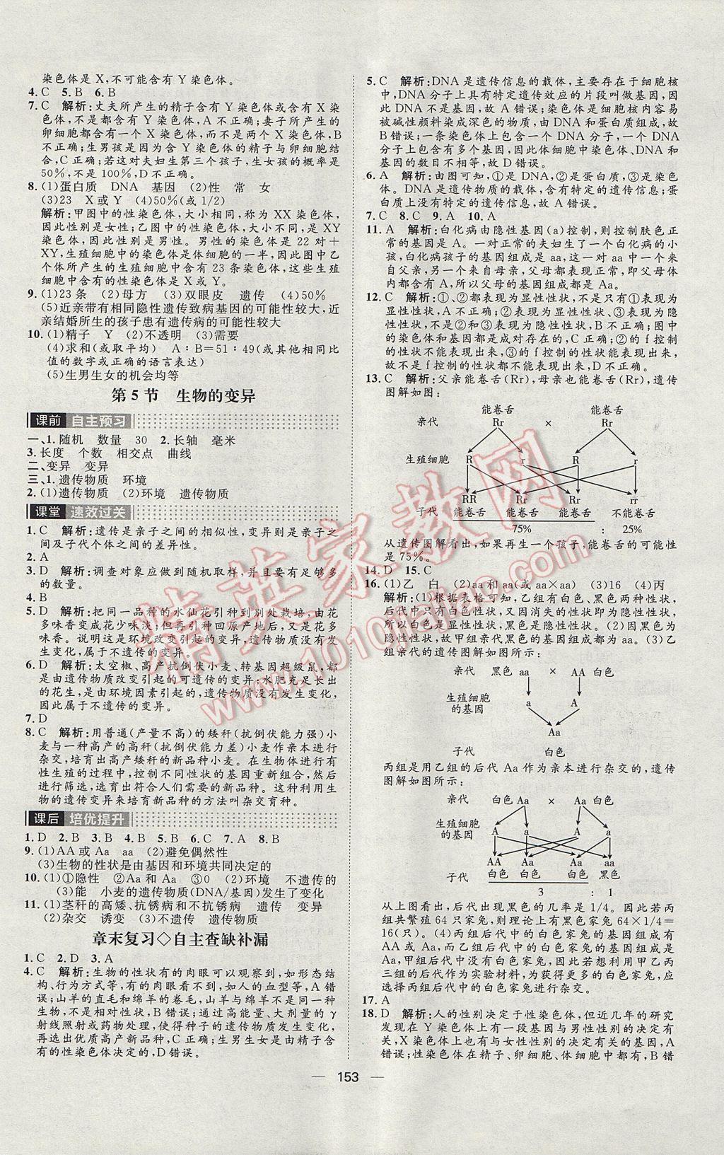 2017年陽光計劃八年級生物人教版 參考答案第13頁