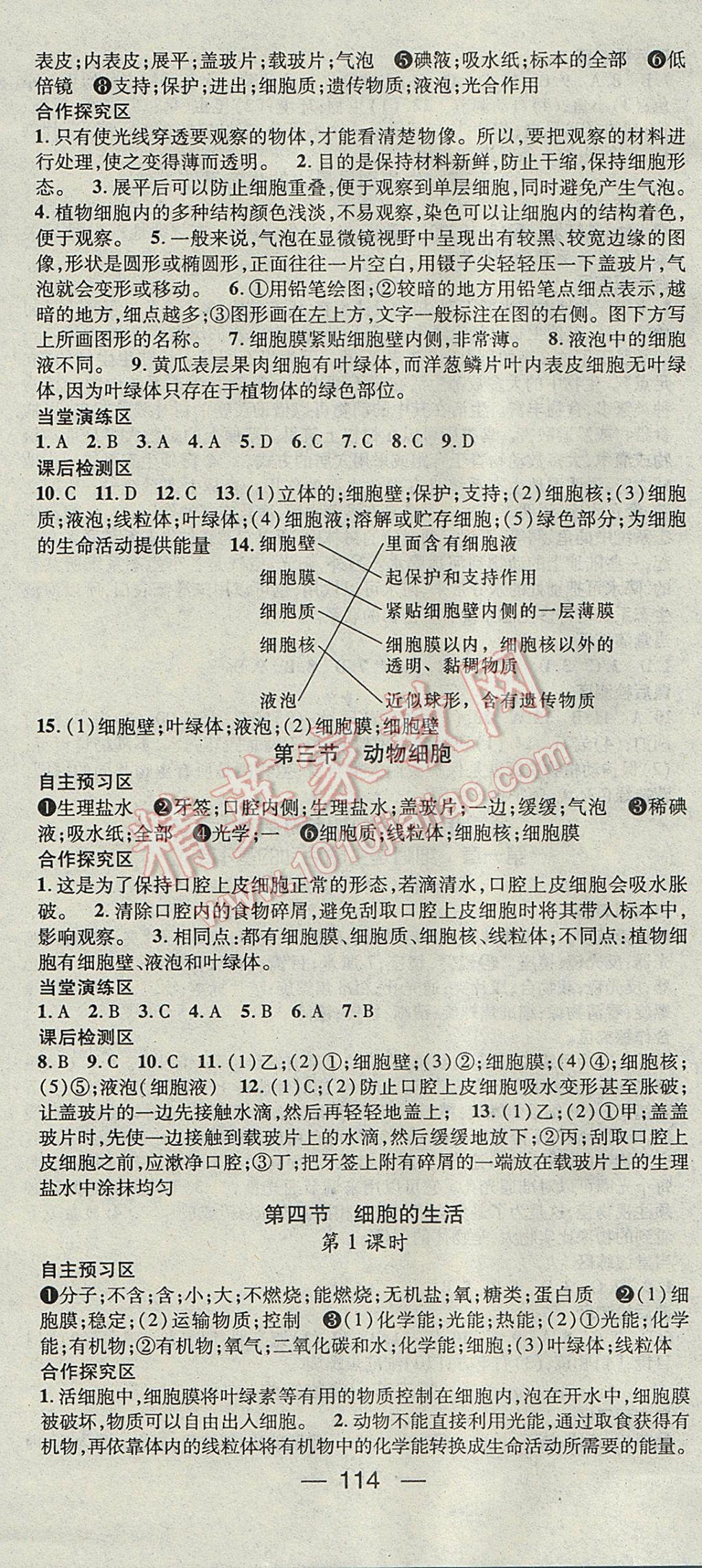 2017年精英新課堂七年級(jí)生物上冊(cè)人教版 參考答案第4頁(yè)