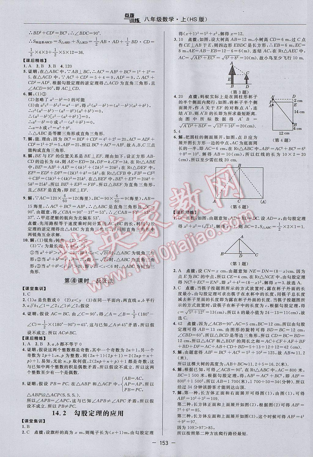 2017年点拨训练八年级数学上册华师大版 参考答案第25页