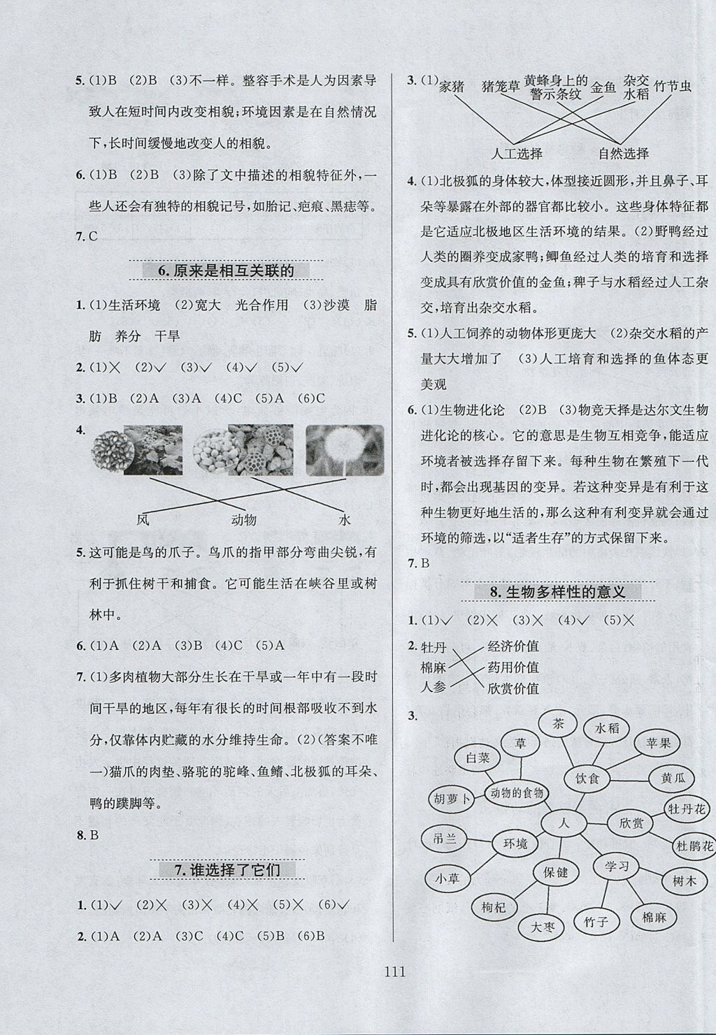 2017年小學(xué)教材全練六年級(jí)科學(xué)上冊(cè)教科版 參考答案第15頁(yè)