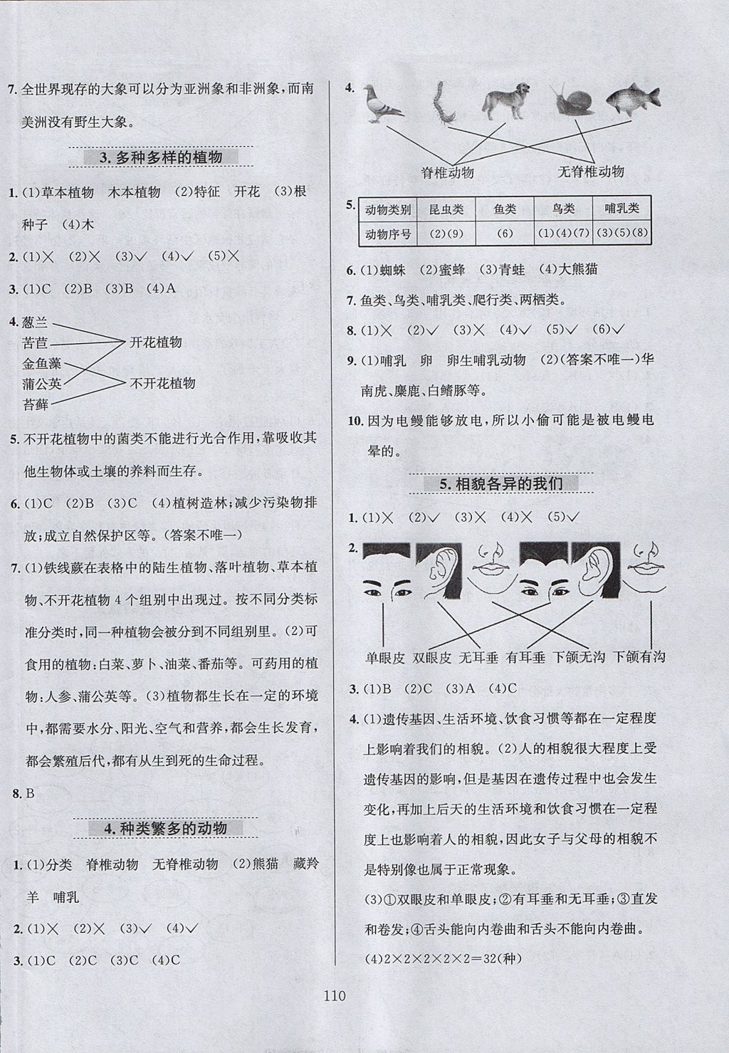 2017年小學(xué)教材全練六年級科學(xué)上冊教科版 參考答案第14頁