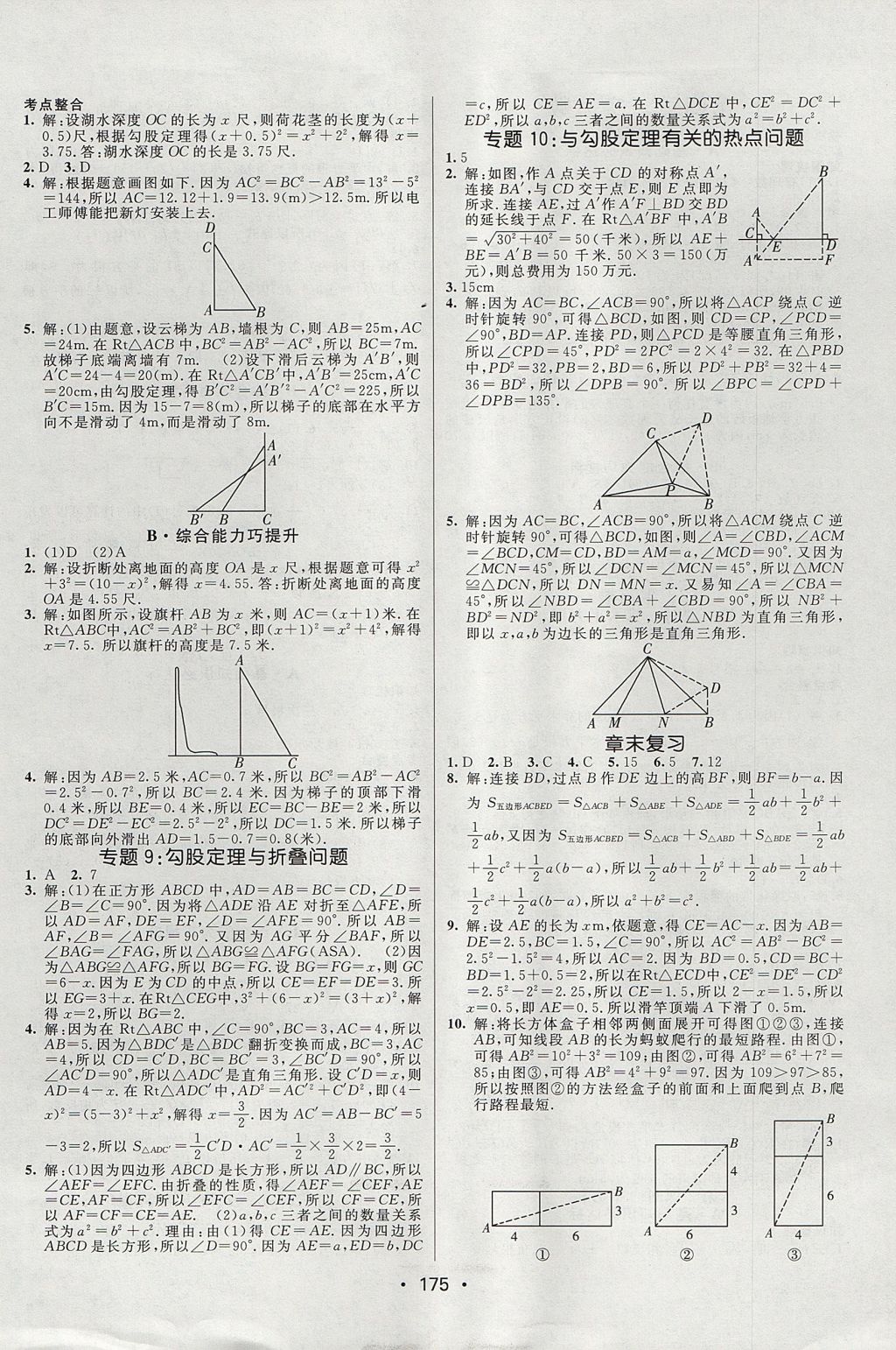 2017年同行学案学练测七年级数学上册鲁教版 参考答案第9页