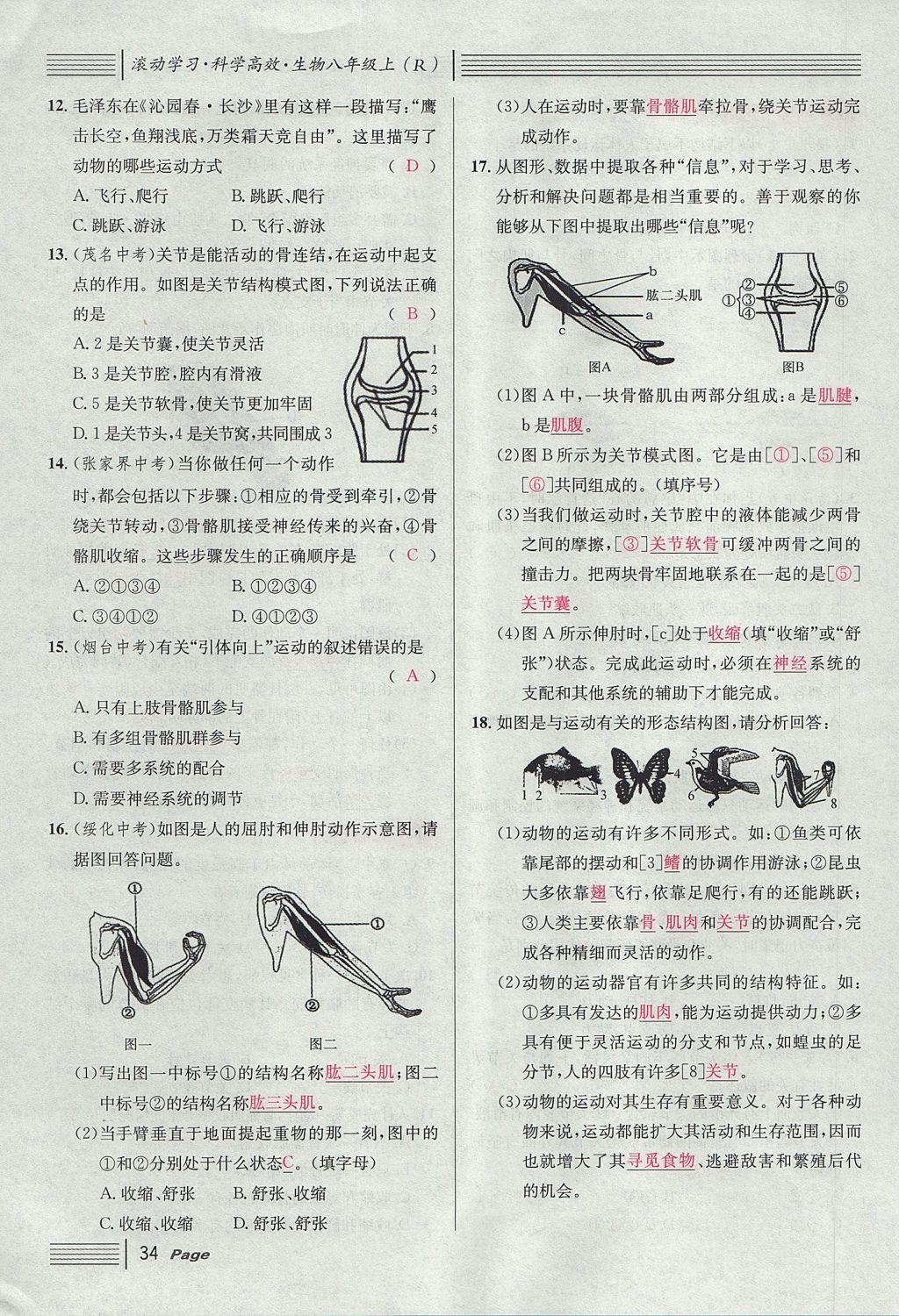 2017年名校課堂滾動學(xué)習(xí)法八年級生物上冊人教版 第五單元 生物圈中的其他生物第58頁