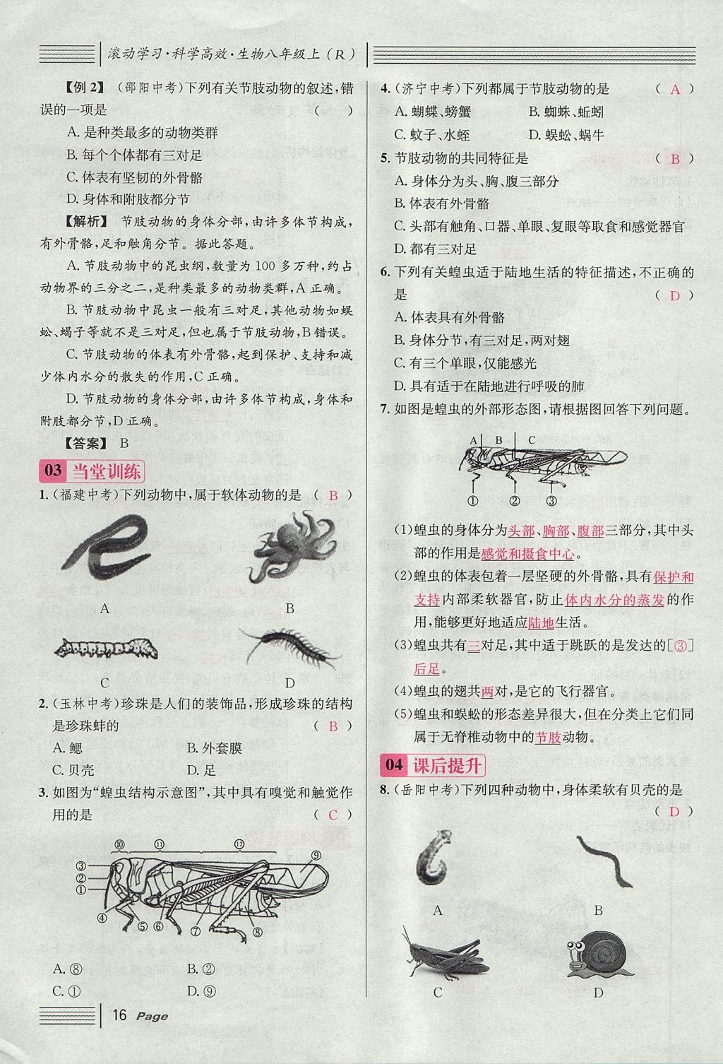 2017年名校課堂滾動學習法八年級生物上冊人教版 第五單元 生物圈中的其他生物第40頁