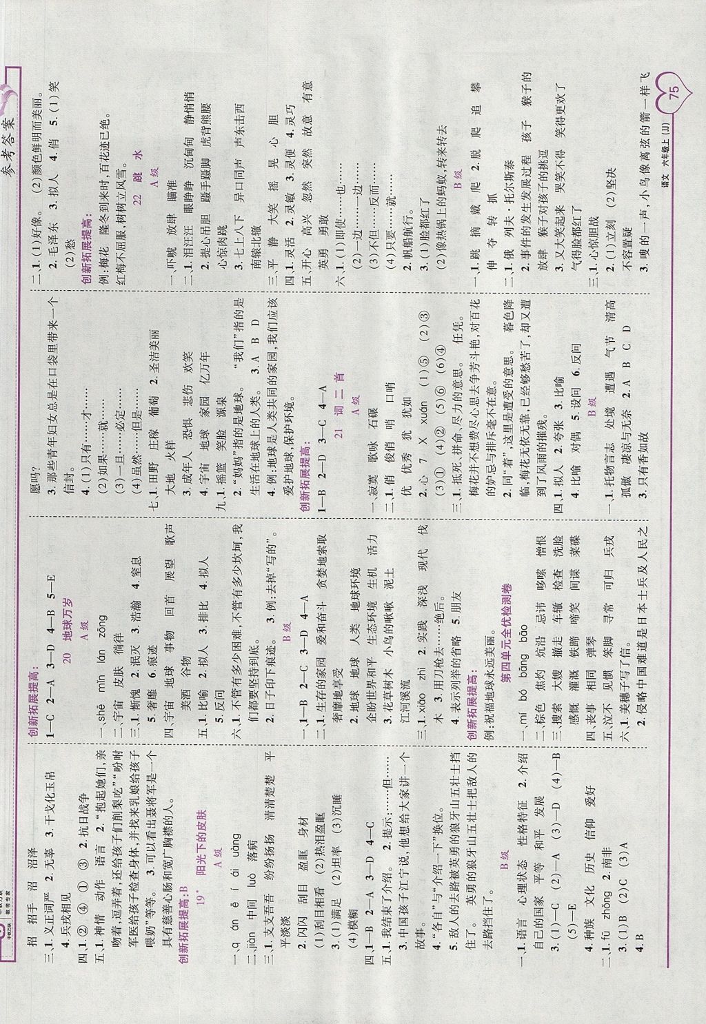 2017年全優(yōu)備考六年級語文上冊冀教版 參考答案第5頁