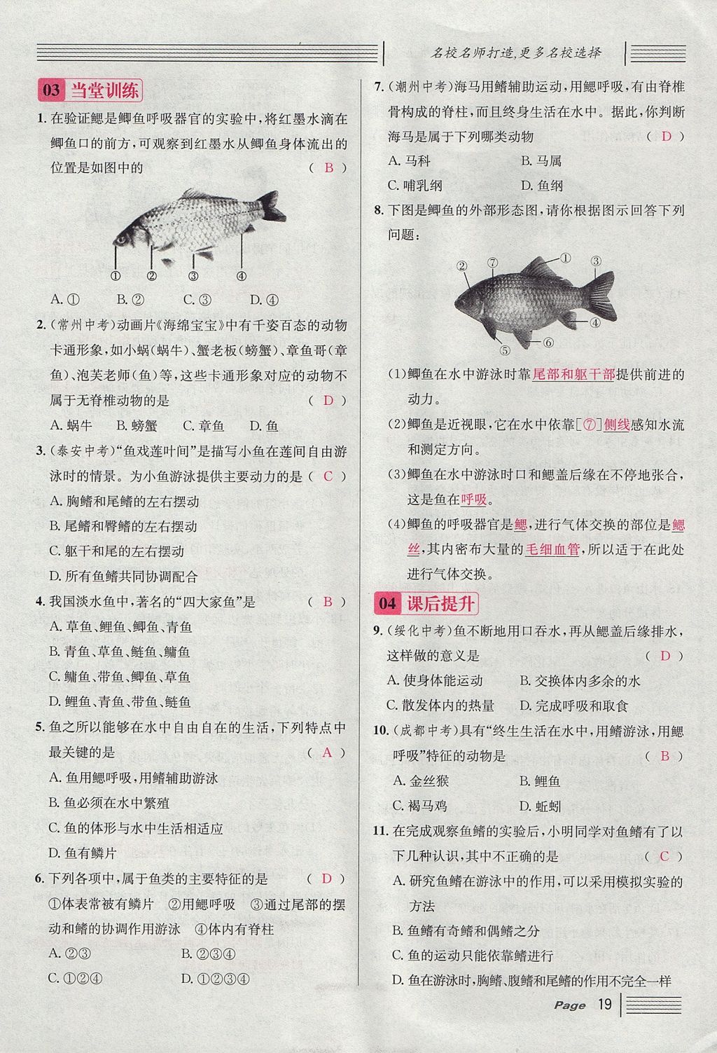 2017年名校課堂滾動(dòng)學(xué)習(xí)法八年級(jí)生物上冊(cè)人教版 第五單元 生物圈中的其他生物第43頁