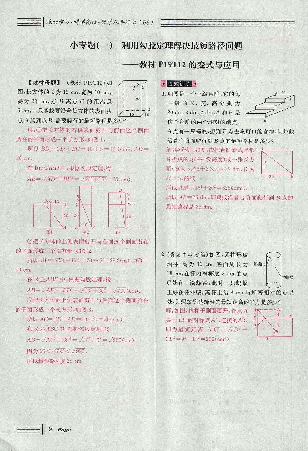 2017年名校課堂滾動學習法八年級數(shù)學上冊北師大版 第一章 勾股定理第9頁