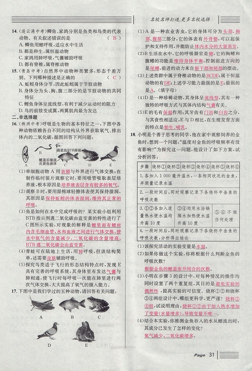 2017年名校課堂滾動學習法八年級生物上冊人教版 第五單元 生物圈中的其他生物第55頁