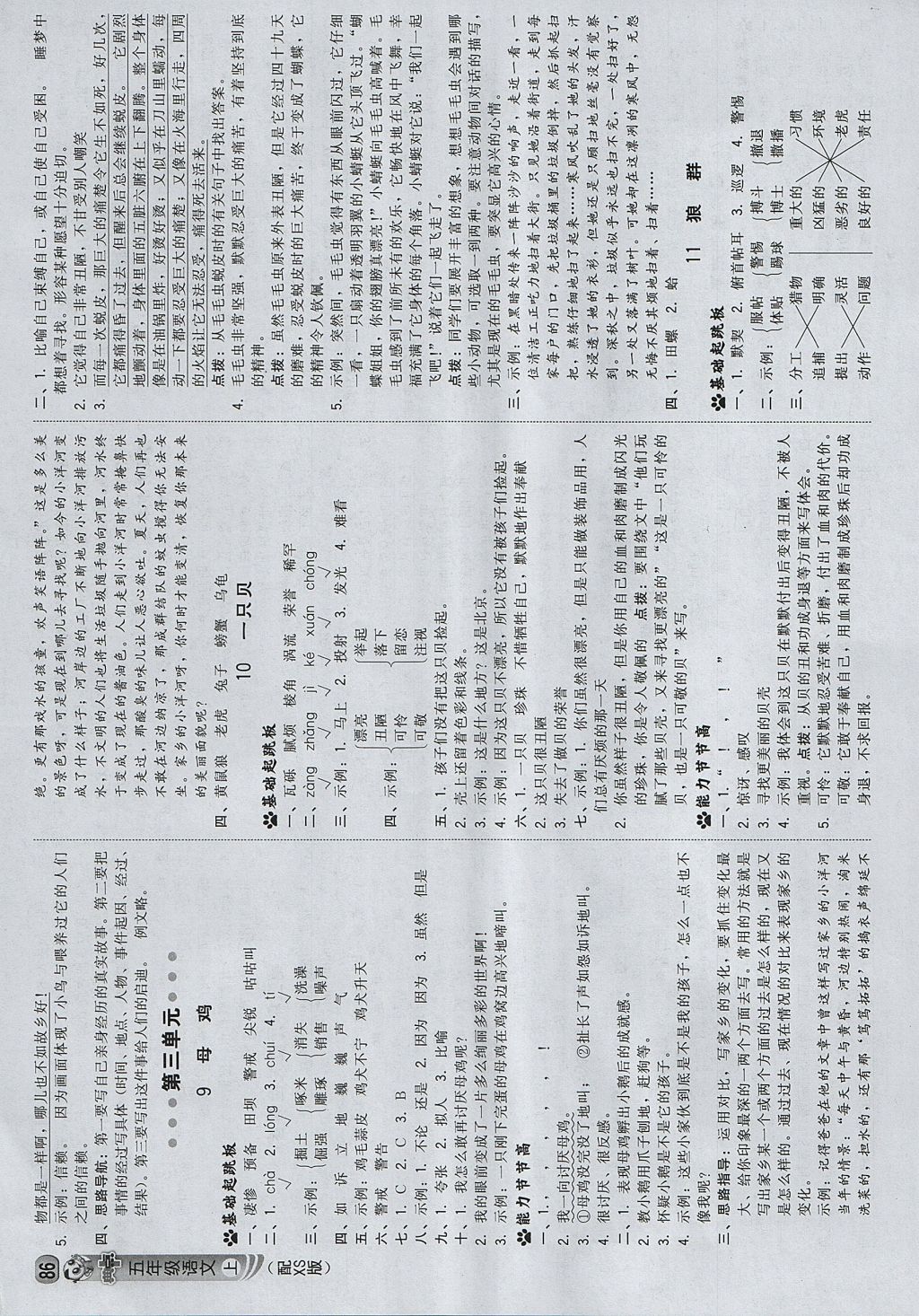 2017年綜合應(yīng)用創(chuàng)新題典中點(diǎn)五年級(jí)語(yǔ)文上冊(cè)西師大版 參考答案第4頁(yè)