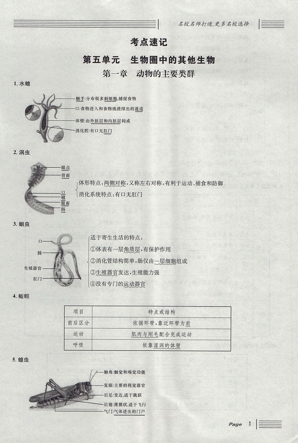 2017年名校課堂滾動學(xué)習(xí)法八年級生物上冊人教版 第五單元 生物圈中的其他生物第25頁