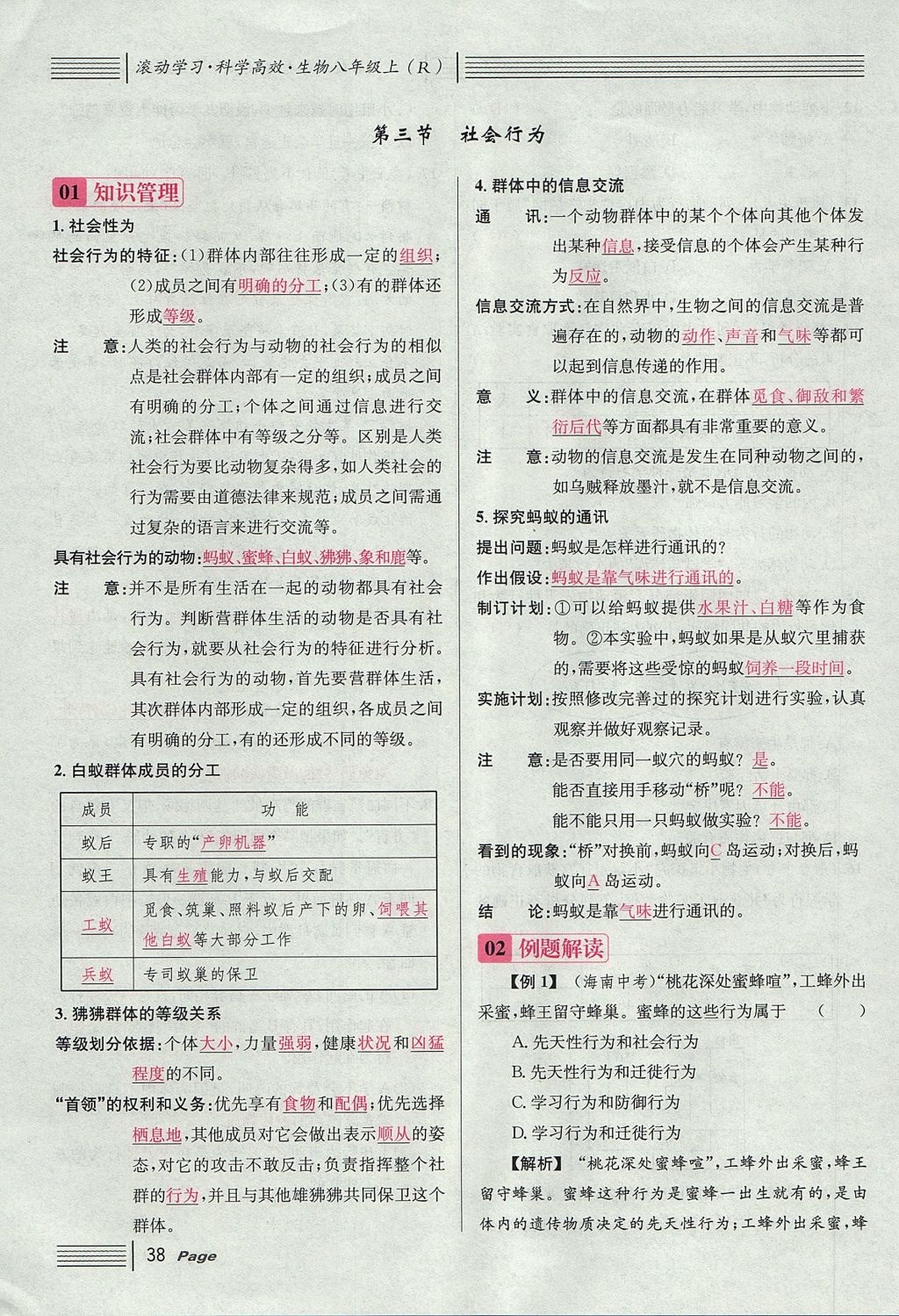 2017年名校課堂滾動學(xué)習(xí)法八年級生物上冊人教版 第五單元 生物圈中的其他生物第62頁