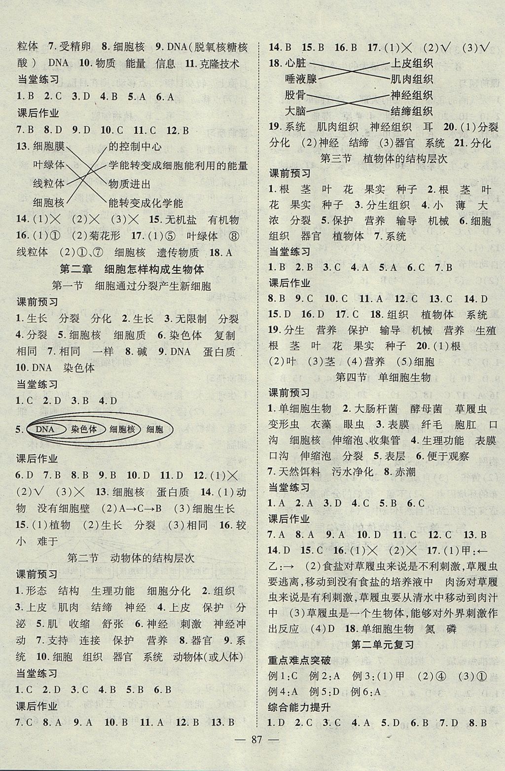 2017年名師學案七年級生物上冊 參考答案第3頁