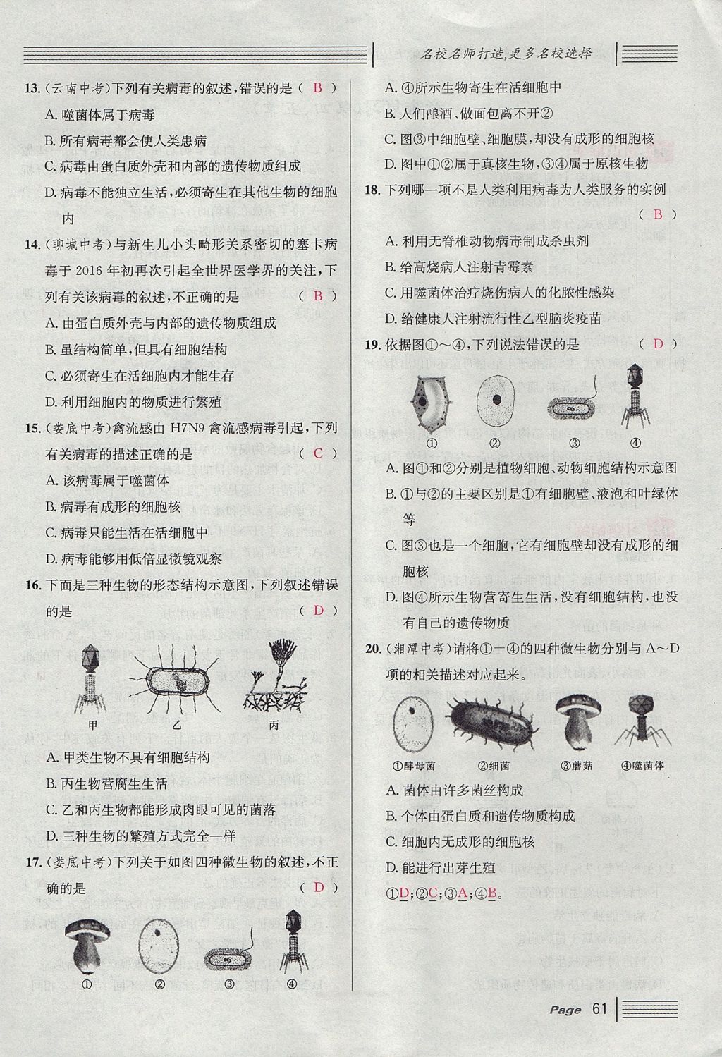 2017年名校課堂滾動學習法八年級生物上冊人教版 第五單元 生物圈中的其他生物第85頁