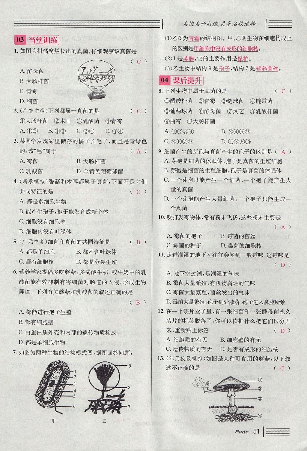 2017年名校課堂滾動(dòng)學(xué)習(xí)法八年級(jí)生物上冊人教版 第五單元 生物圈中的其他生物第75頁