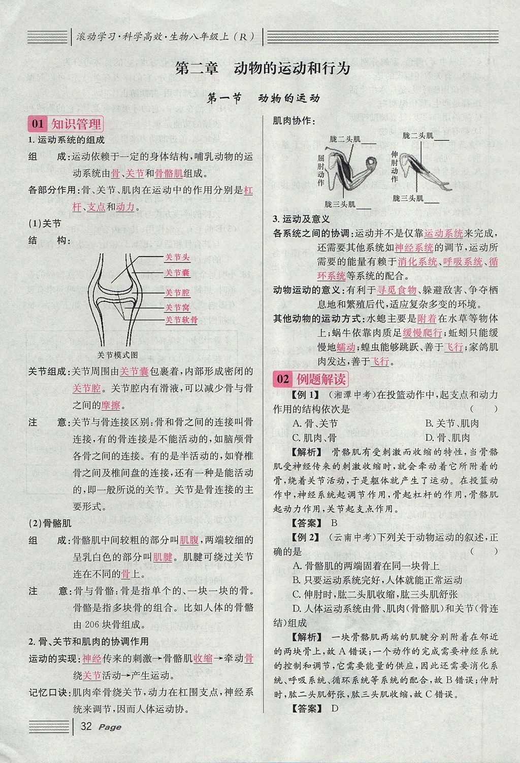 2017年名校課堂滾動學(xué)習(xí)法八年級生物上冊人教版 第五單元 生物圈中的其他生物第56頁