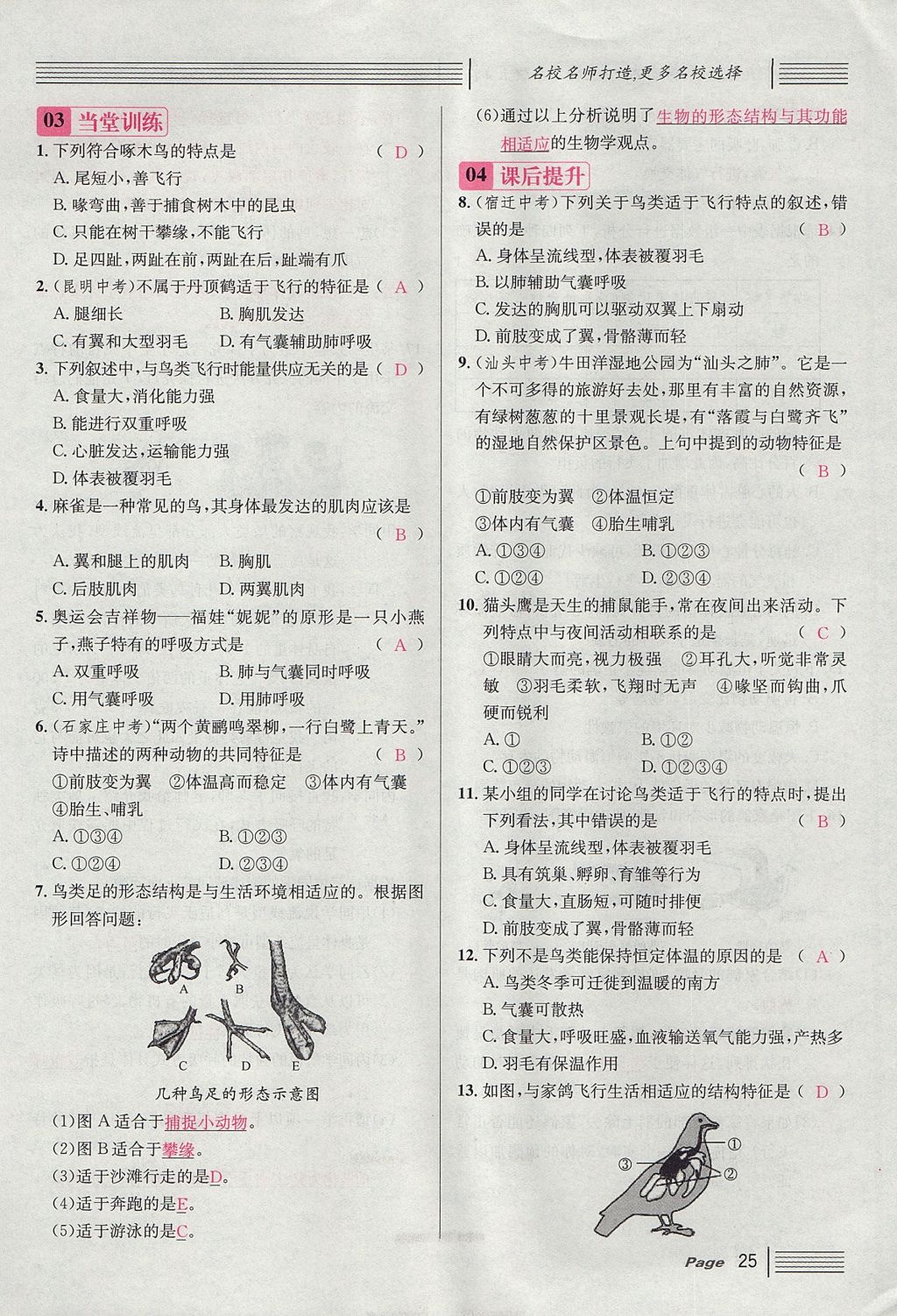 2017年名校課堂滾動(dòng)學(xué)習(xí)法八年級(jí)生物上冊(cè)人教版 第五單元 生物圈中的其他生物第49頁(yè)