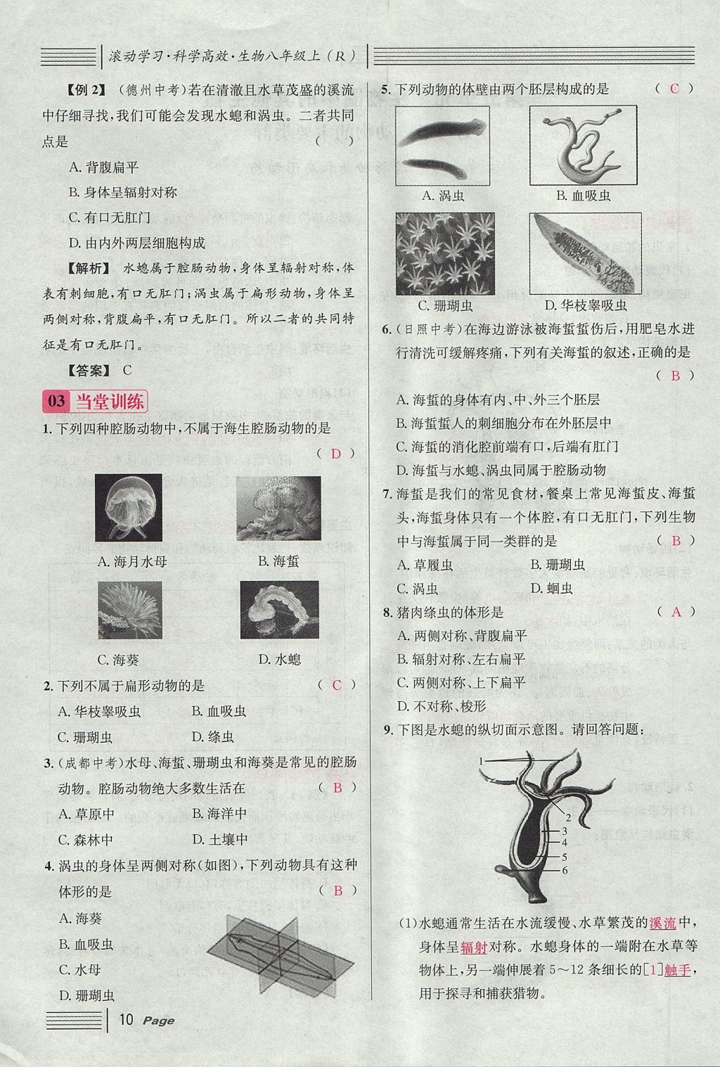 2017年名校課堂滾動學習法八年級生物上冊人教版 第五單元 生物圈中的其他生物第34頁