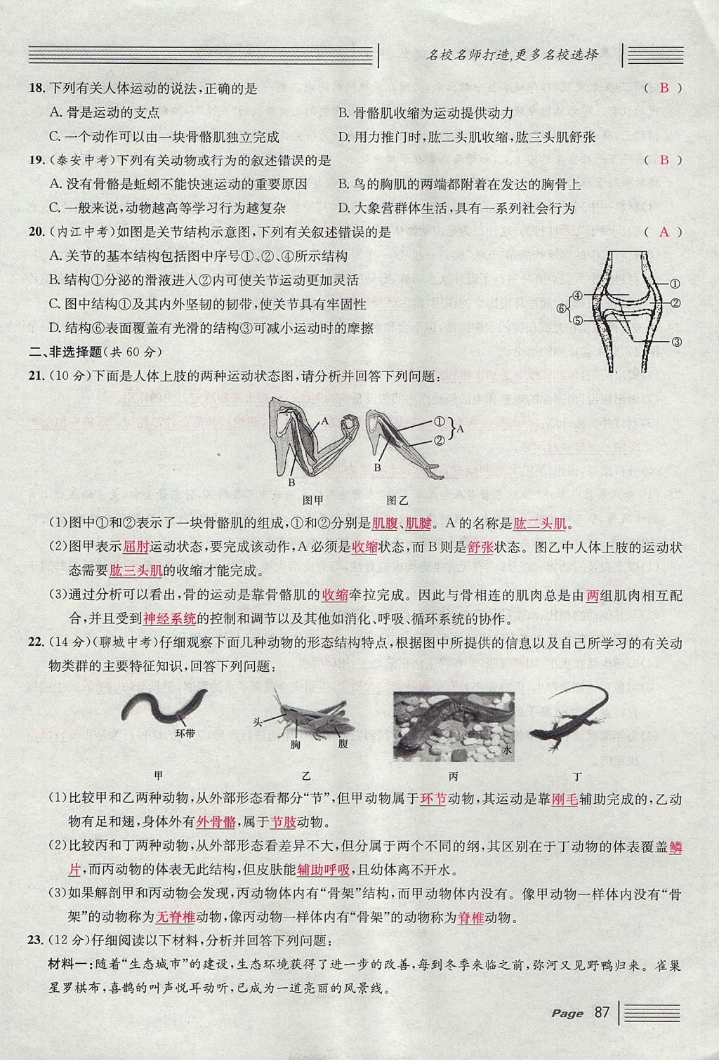 2017年名校課堂滾動學(xué)習(xí)法八年級生物上冊人教版 單元測試第11頁