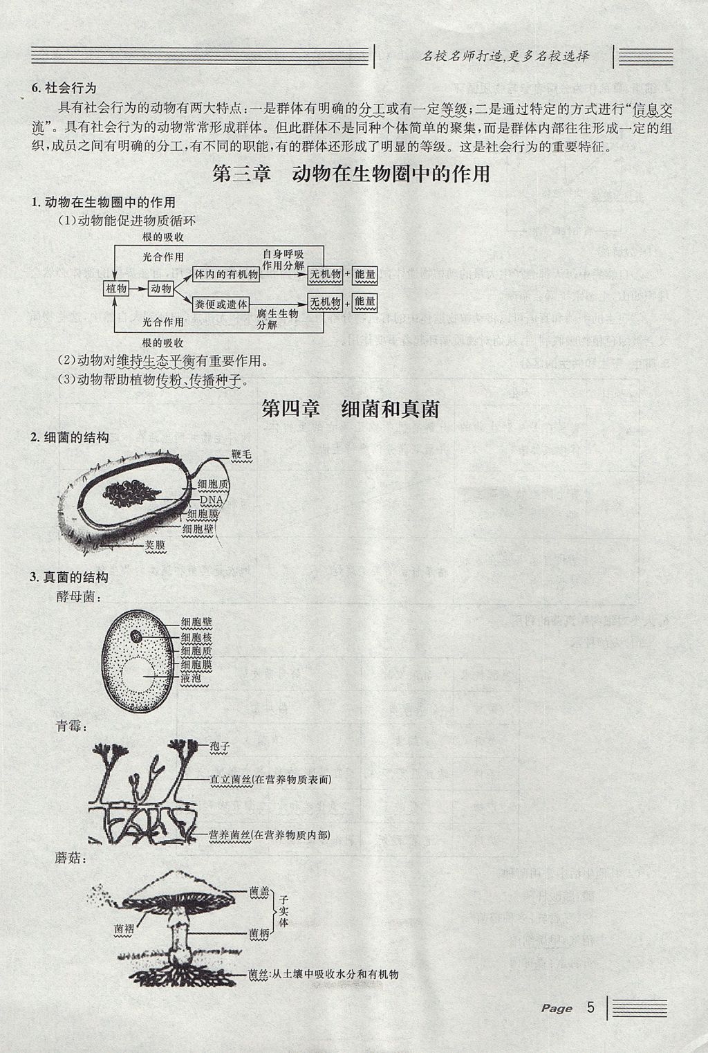 2017年名校課堂滾動學習法八年級生物上冊人教版 第五單元 生物圈中的其他生物第29頁