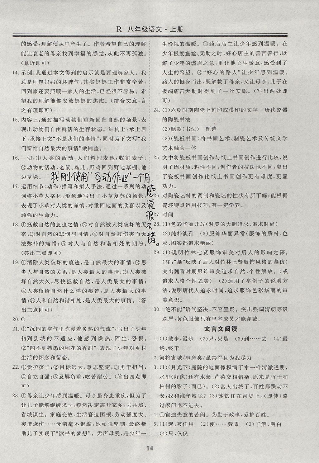 2017年自主訓(xùn)練八年級語文上冊人教版 常考點(diǎn)針對性突破答案第17頁