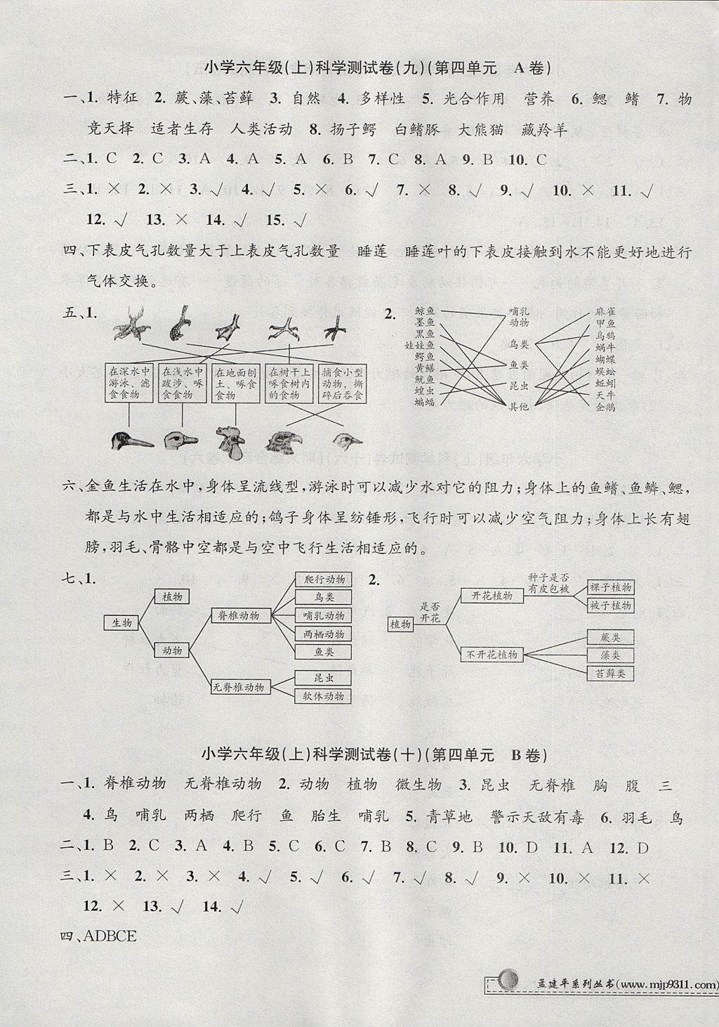 2017年孟建平小學(xué)單元測(cè)試六年級(jí)科學(xué)上冊(cè)教科版 參考答案第5頁