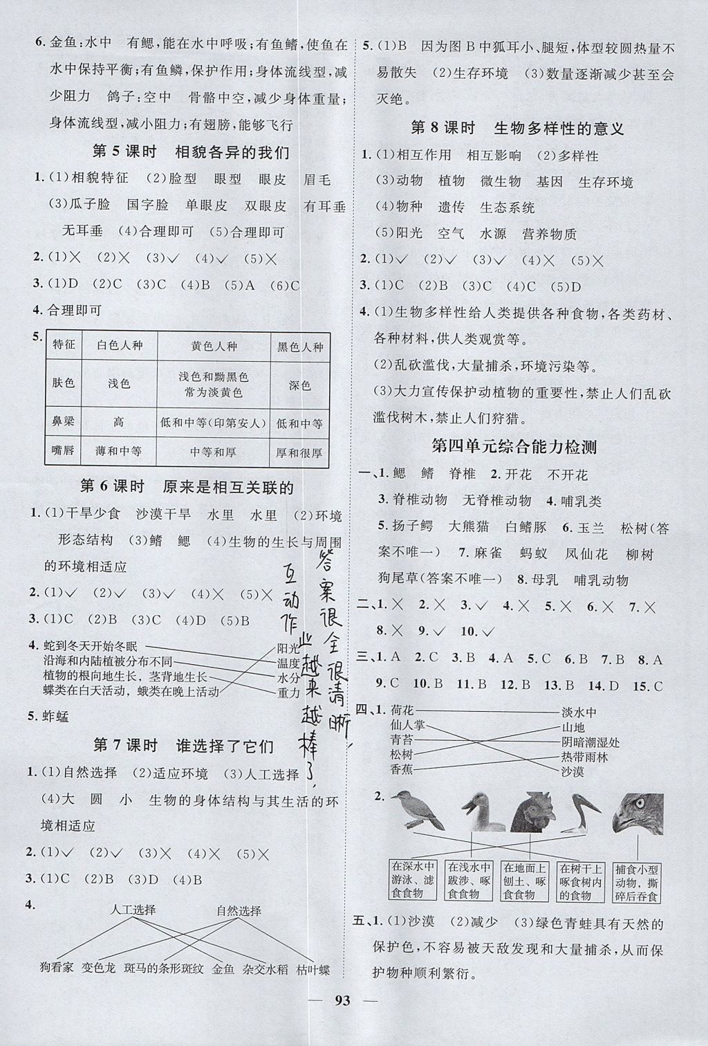 2017年阳光同学课时优化作业六年级科学上册教科版 参考答案第7页