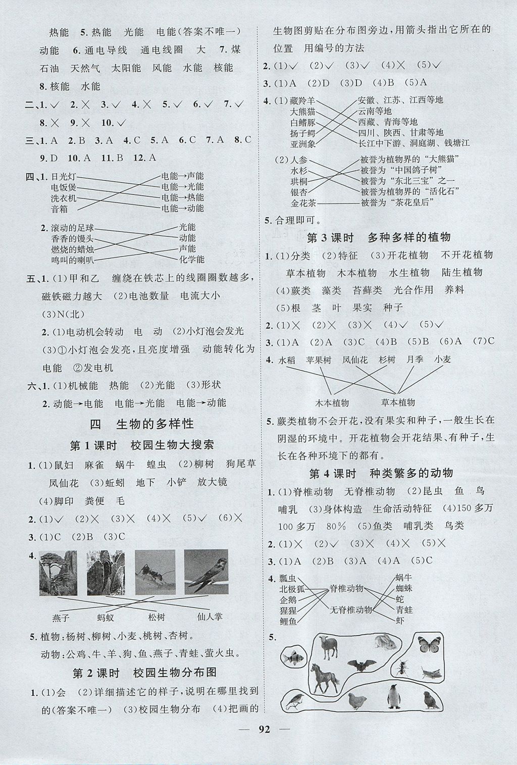 2017年阳光同学课时优化作业六年级科学上册教科版 参考答案第6页