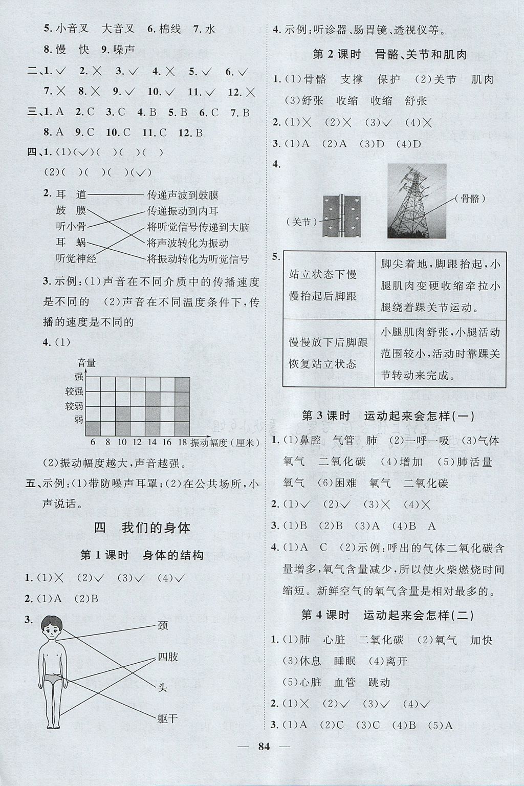 2017年阳光同学课时优化作业四年级科学上册教科版 参考答案第6页