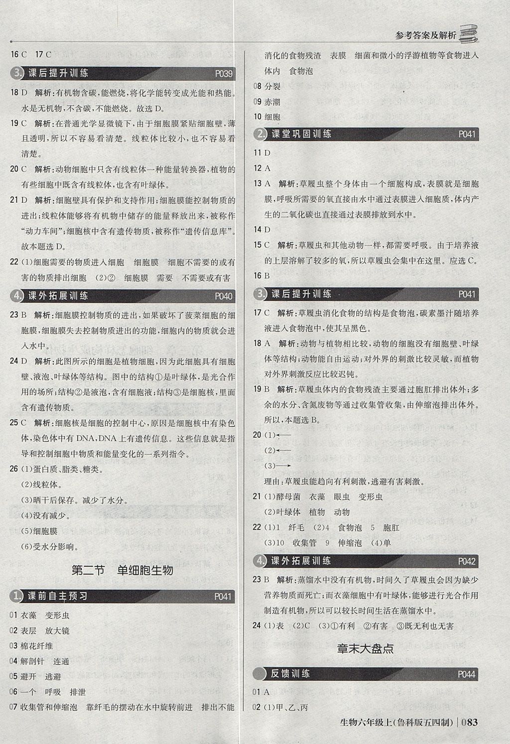 2017年1加1轻巧夺冠优化训练六年级生物上册鲁科版五四制银版 参考答案第12页