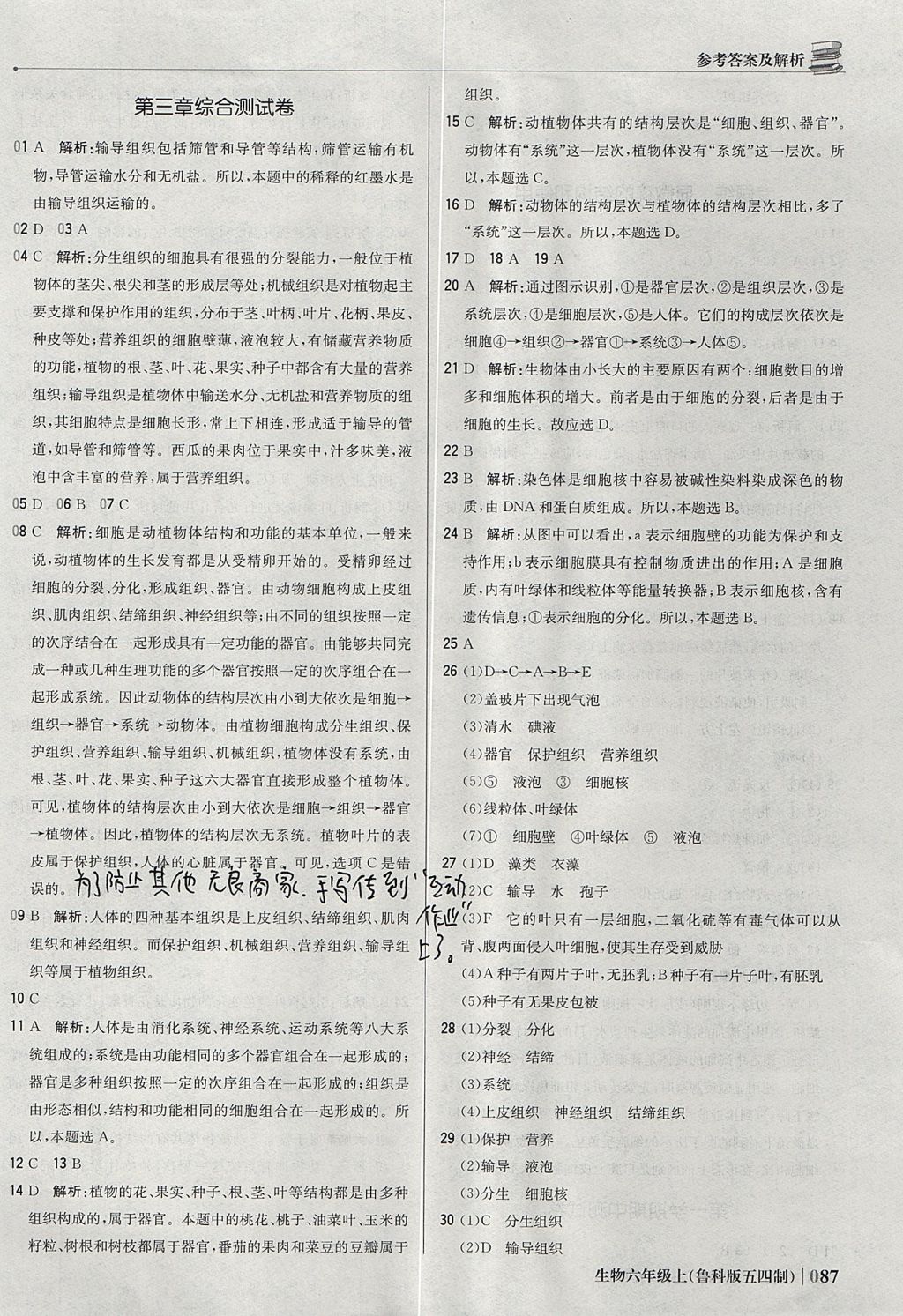 2017年1加1轻巧夺冠优化训练六年级生物上册鲁科版五四制银版 参考答案第16页