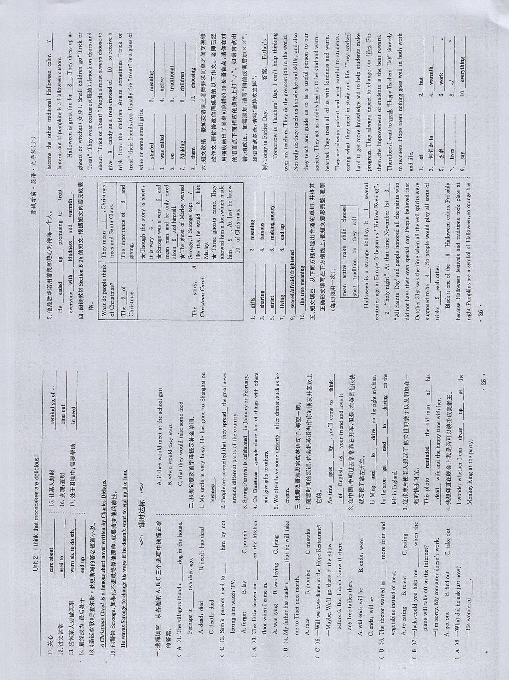 2017年蓉城學(xué)霸九年級英語上冊人教版 參考答案第13頁