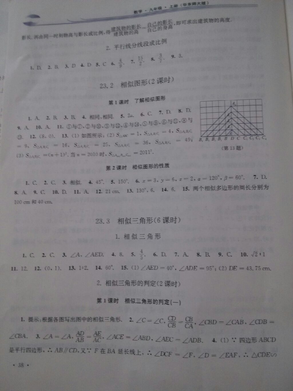 2017年学习检测九年级数学上册华师大版 参考答案第11页