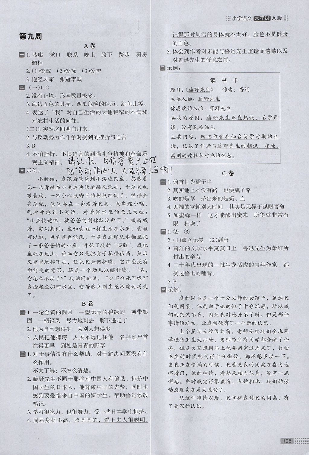 2017年木頭馬閱讀小卷小學(xué)語(yǔ)文六年級(jí)全一冊(cè)人教版A版 參考答案第9頁(yè)