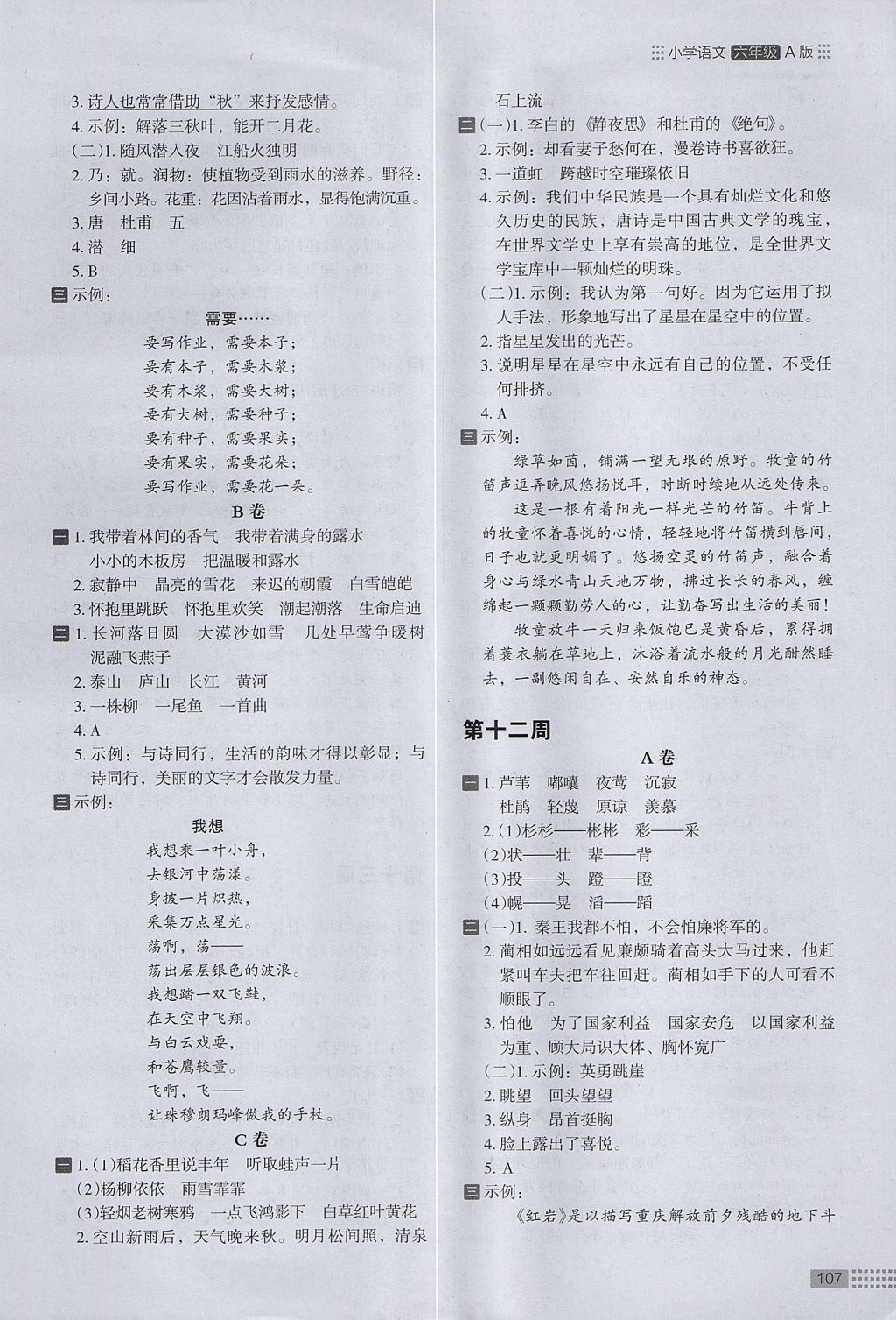 2017年木頭馬閱讀小卷小學(xué)語(yǔ)文六年級(jí)全一冊(cè)人教版A版 參考答案第11頁(yè)