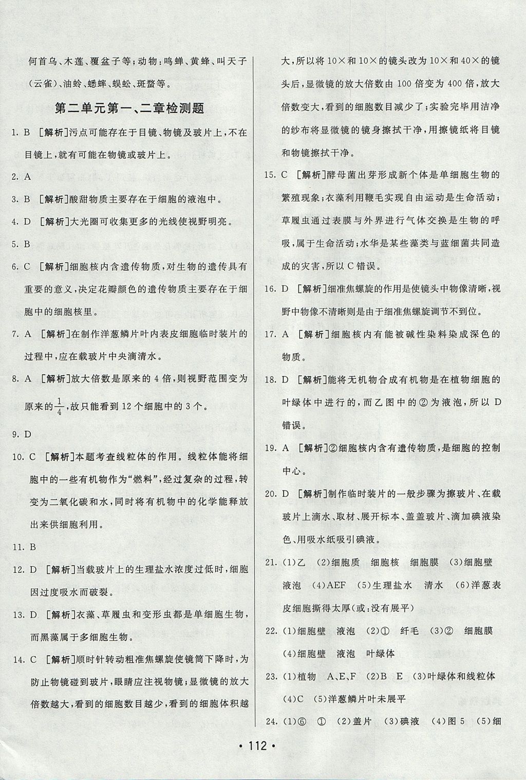 2017年同行學(xué)案學(xué)練測六年級生物上冊魯科版 參考答案第24頁