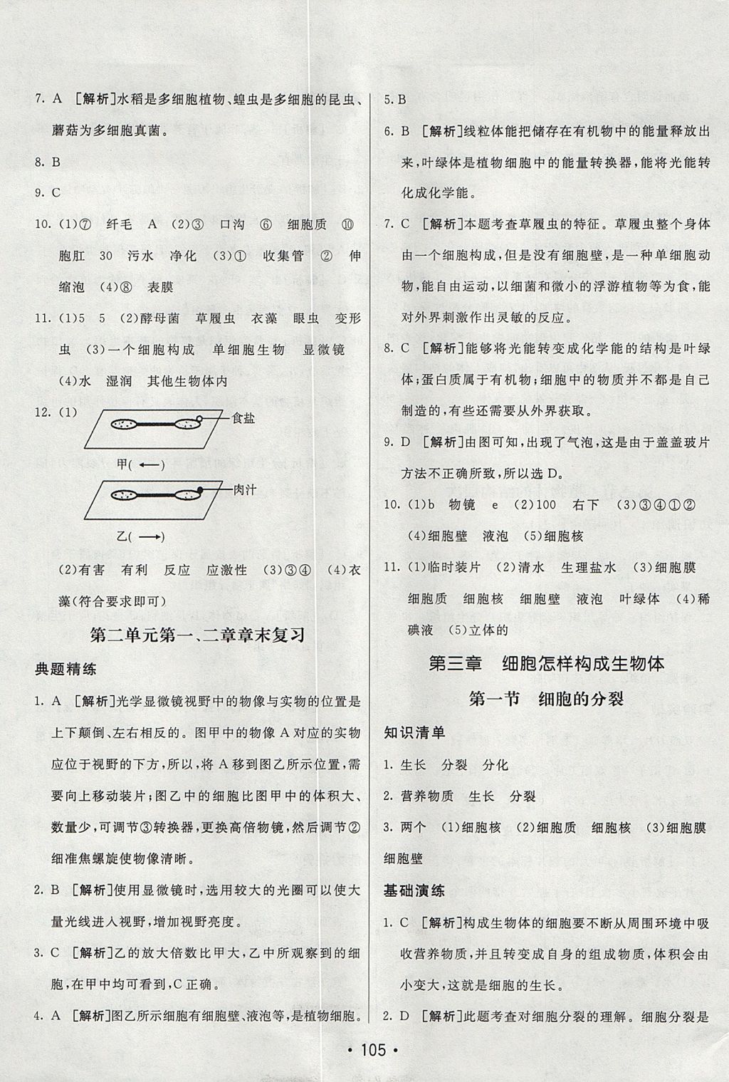 2017年同行學案學練測六年級生物上冊魯科版 參考答案第17頁