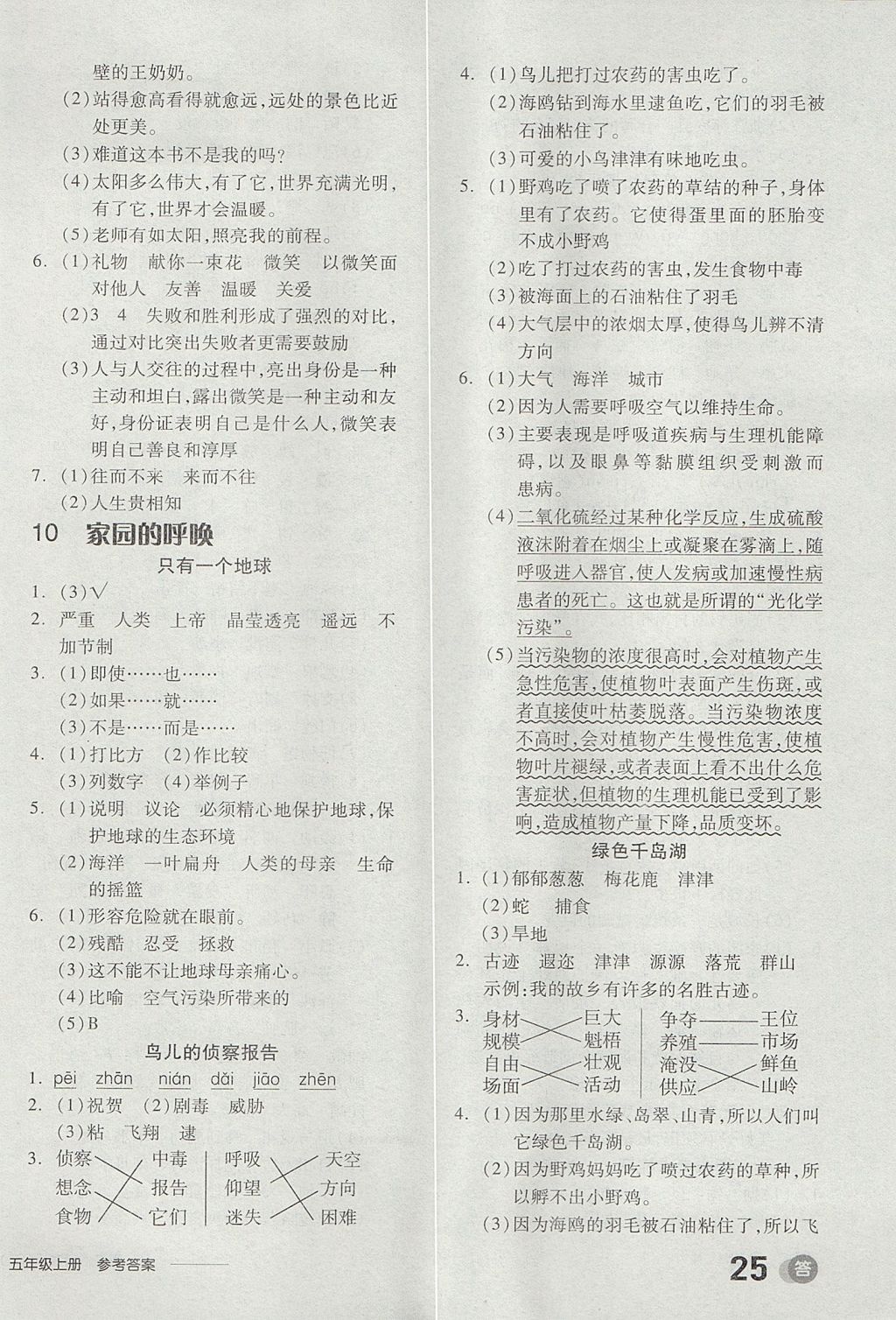 2017年全品學(xué)練考五年級(jí)語(yǔ)文上冊(cè)北師大版 參考答案第10頁(yè)