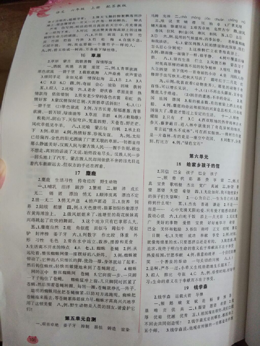 2017年新課程學習與測評同步學習六年級語文上冊蘇教版 參考答案