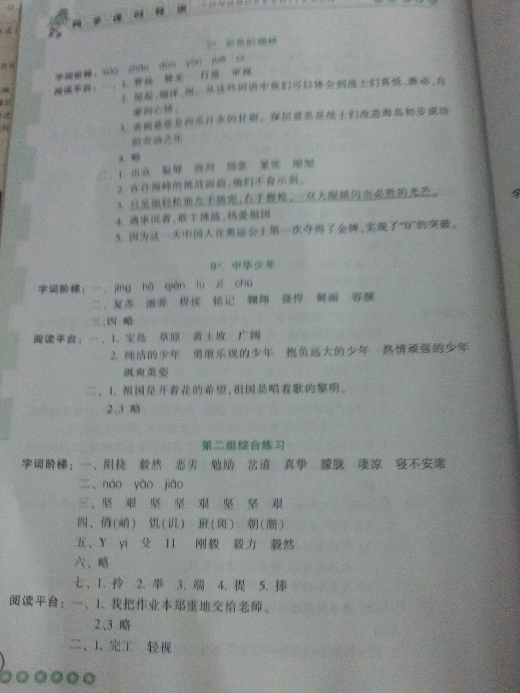 2017年课时特训六年级语文上册人教版&nbsp;参考答案第5页