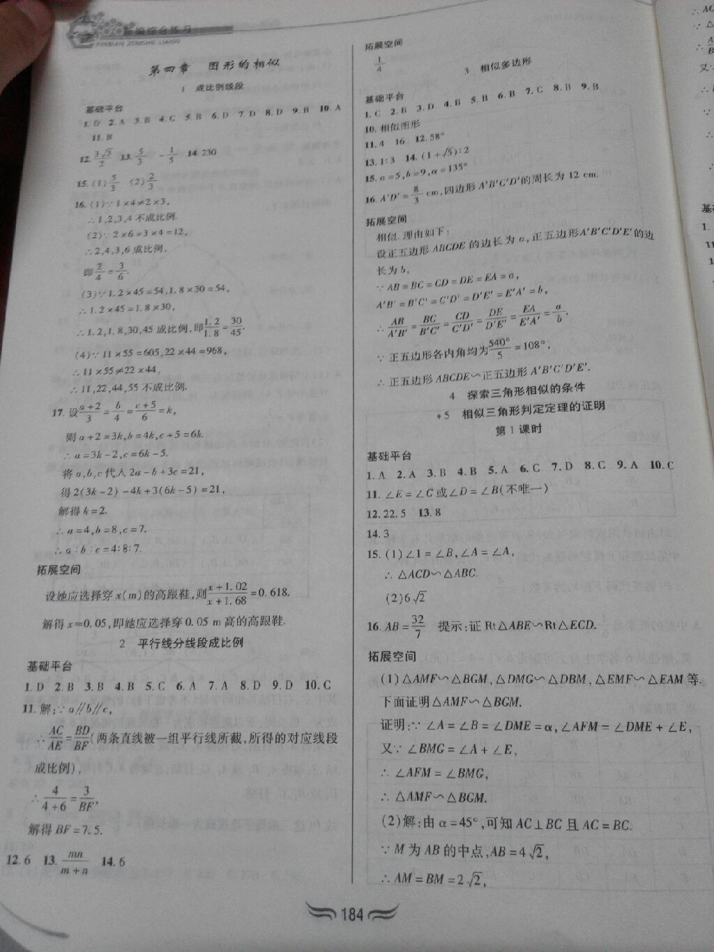 2017年新編綜合練習(xí)九年級數(shù)學(xué)全一冊北師大版 參考答案第4頁